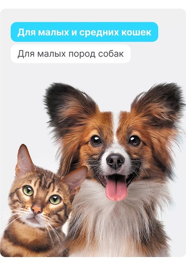 Rıch Breed Küçük Irk Kediler Ve Köpekler İçin Yumuşak Yuva 253251431