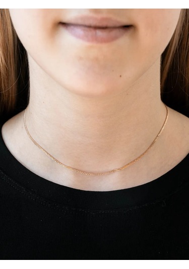 Voznesenskij Uvelirnyj Zavod Altın Kaplama Gümüş Zincir "çift Kaplumbağa" 925 251178664 Altın