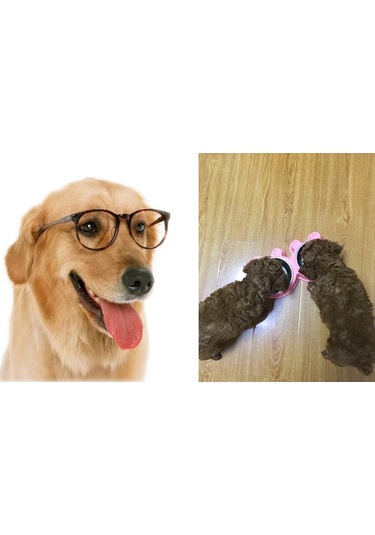 Sones 2'si 1 Arada Paslanmaz Çelik Kaseler