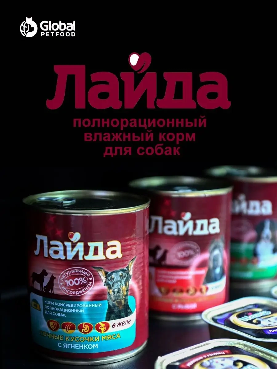 Lajda Hindi Etiyle Islak Köpek Maması 6 Adet. Pleasel Ask Me Any Other Translation Requests 116353302