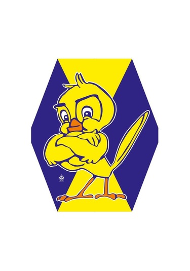 Arık Kanarya Desenli İpli Uçurtma