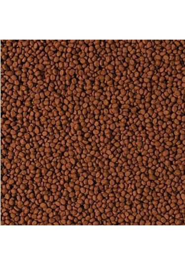 250 Gram Tropical Cichlid Carnivore Medium Pellet Büyük Granül Ba