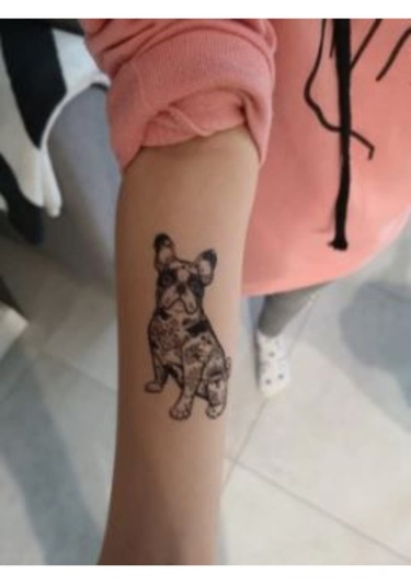 Köpek Bulldog Kaniş Su Geçirmez Kol Bilek Omuz Sırt Geçici Dövme