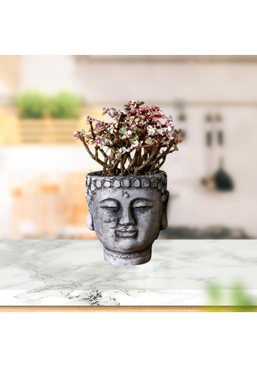 Suntek Çimento Buda Head Pot Statue Bonsai Çiçek Vazo Taş-gri