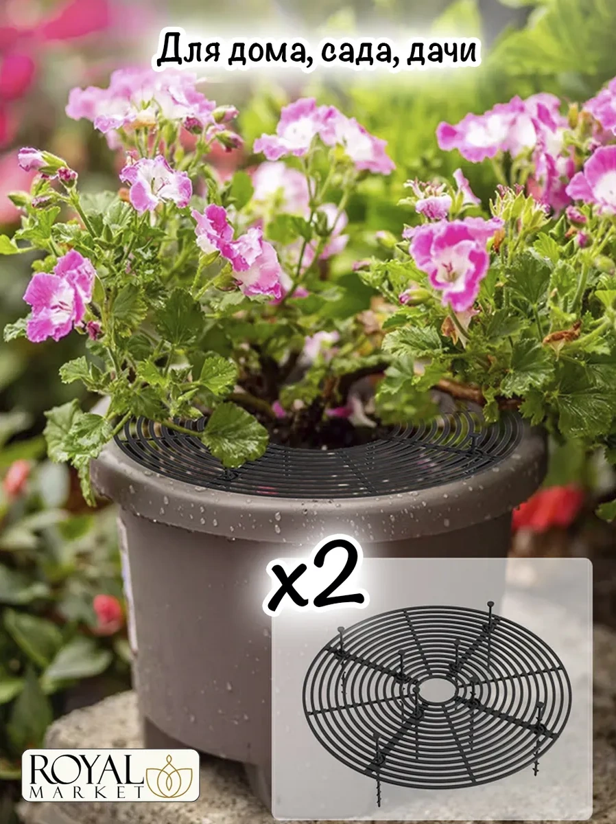 Royal Market Bitki Koruma 321194434