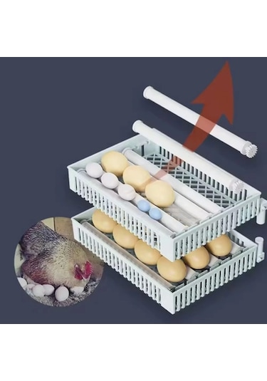 Küçük 24 Tavuk Yumurtası Kapasiteli Tam Otomatik Hobi Kabin Tip Kuluçka Makinesi