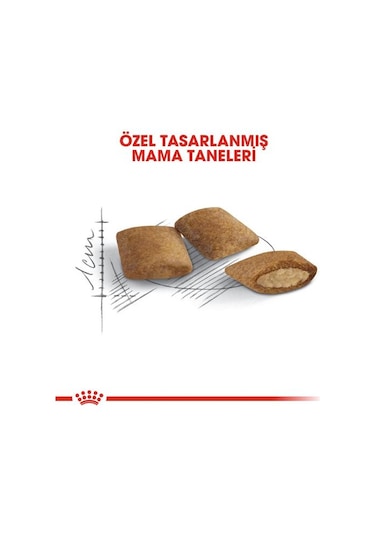 Royal Canin Ageing +12 Yaş Yaşlı Kedi Maması 2 Kg