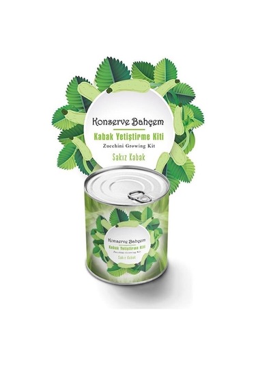 Buffer Konserve Bahçem Evde Konservede Sakız Kabak Yetiştirme Kiti - 9004237610583drvs1