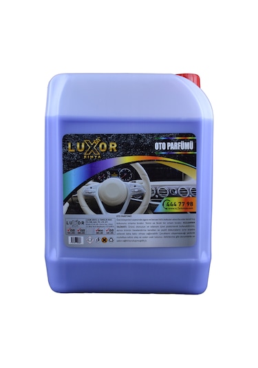 Luxor Kimya Böğürtlen Sakız Oto Kokusu 5 L