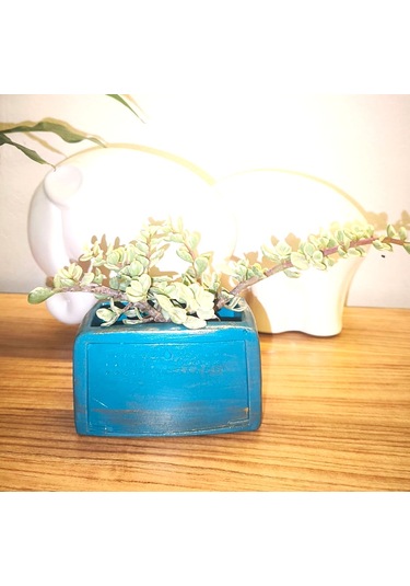 Artepieza Retro Radyo Sukulent Saksısı Ve Kalemlik - Masaüstü Dekoratif Organizer Petrol Mavisi 12 8 12cm