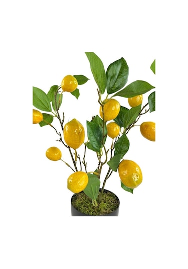 Yapay Limon Ağacı 40Cm Gerçek Doku Siyah Plastik Saksılı Dekorati