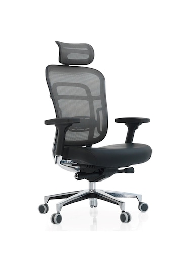 Passion Çalışma Koltuğu Oyuncu Yönetici Makam Koltuğu