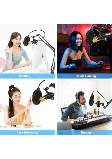 Wondernest Puluz Kondenser Mikrofon Stüdyo Yayını Profesyonel Şan Mikrofonu, Küçük Boyutlu