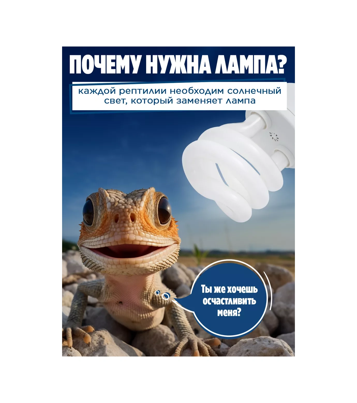 Jasmilar Sürüngenler İçin Uv Lamba Teraryum 173292826