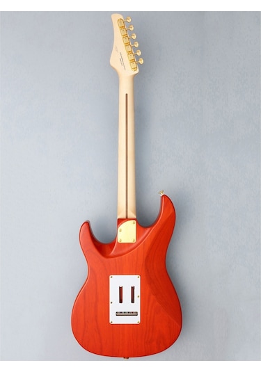 Fujigen Odyssey Elektro Gitar Eos2fmr/rkg