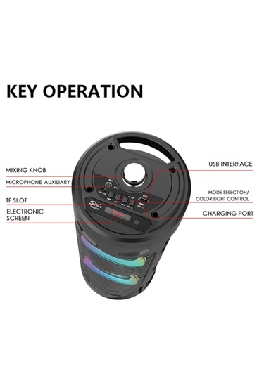 Junglee ZQS4239 Karaoke Mikrofonlu Bluetooth 5.0 Hoparlör