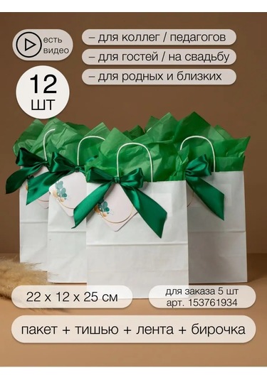 Sinitsa Ecoshop Kağıt Hediye Poşetleri 12'li Set 153761937