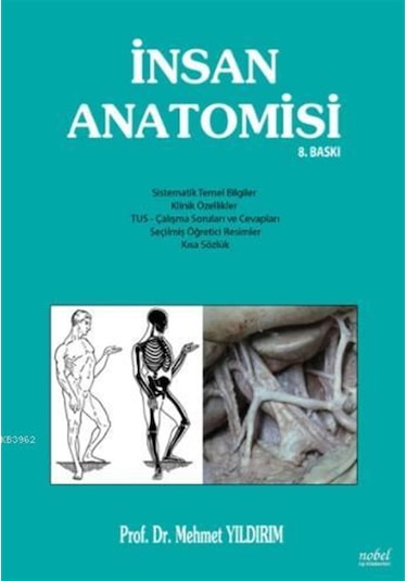 İnsan Anatomisi