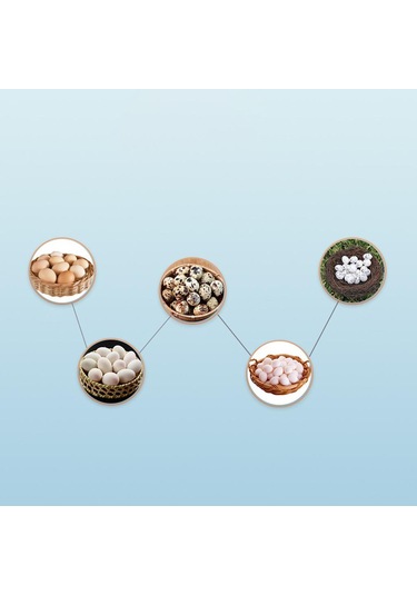 Suntek Otomatik Yumurta Kuluçka Makinesi Turner Tavuk Ac-12v