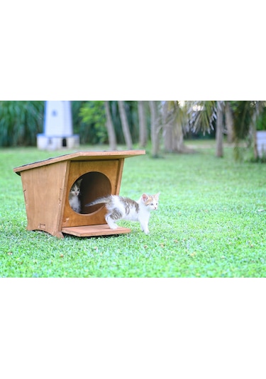 MANDU Ahşap Mini Kedi Evi (Yeni Doğan evi)