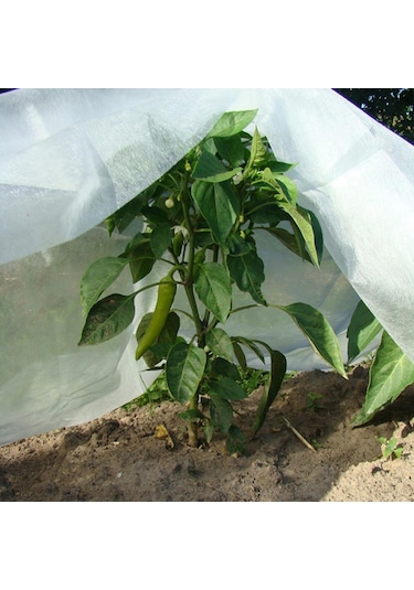 12,8x5 Metre 50gr Agril Isı Don Örtüsü, Zirai Don Kırağı Örtü Karpuz Çilek Örtüsü, Sera Toprak Örtüsü Elyaf Bitki Koruma Örtüsü