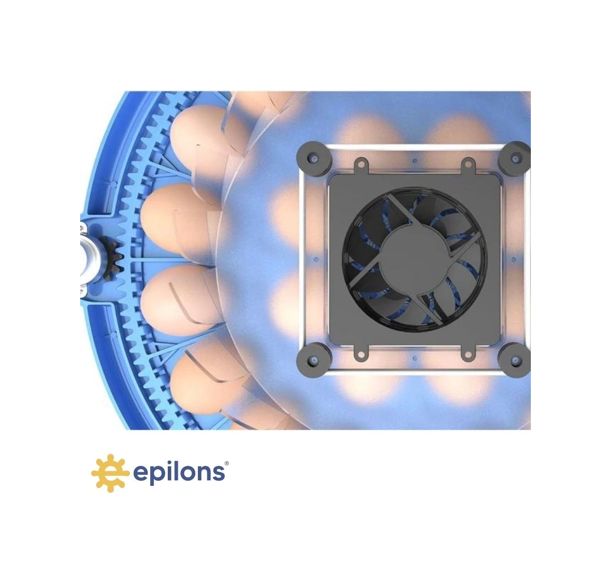 80/240 Kapasiteli Çift Viyollü Kuluçka Makinesi Kaz Ördek Tavuk Bıldırcın Kuşlar İçin