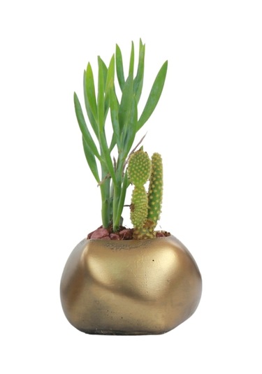 Çiçek Saksısı Dekoratif Kaktüs Saksı 1 Adet Spiral Oval Model - Altın Eskitme