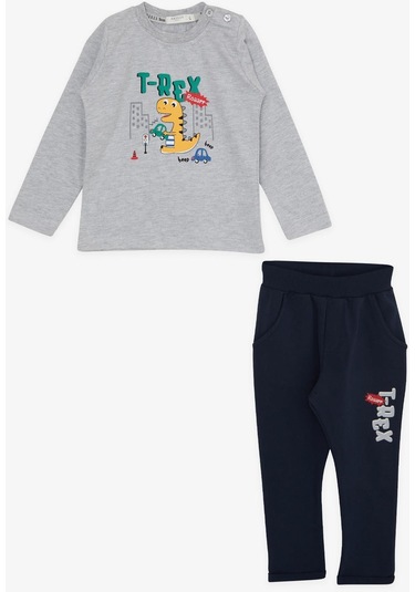 Erkek Bebek Dinazor Baskılı Eşofman Takım-13390-grı Gri