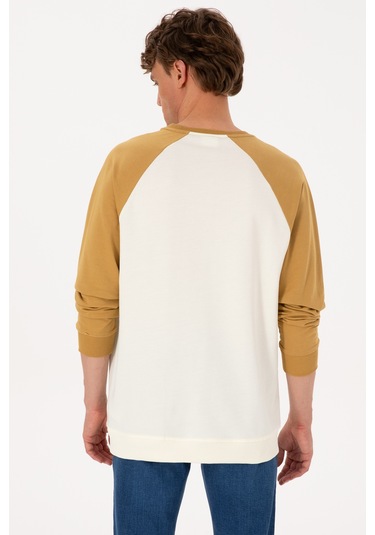 U.S. Polo Assn. Erkek Bisiklet Yaka Regular Fit Haki İnce Sweatshirt 50315420-VR151