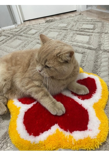 Kirbi Kedi Patisi Süs Halı Çok Renkli