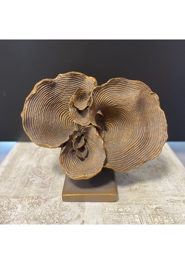 Büyük Kaideli Deniz Mercan