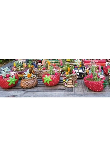 Çilek Saksı İç-dış Mekan