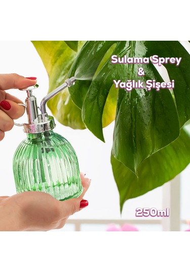 Perotti 15731 Yeşil Vintage Cam Bitki Sulama Şişesi Sprey Şişe