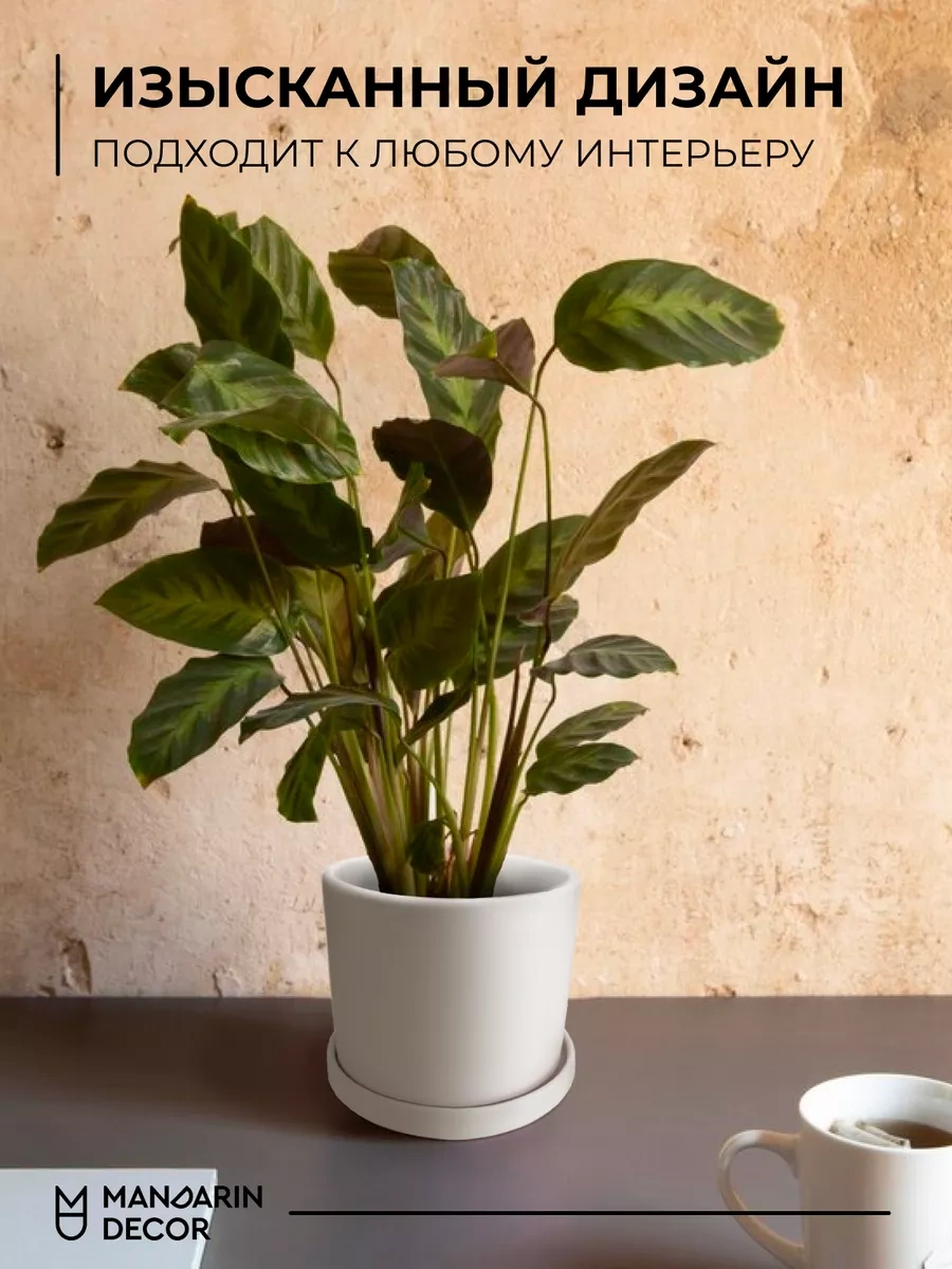 Mandarin Decor Çiçek Saksısı Seramik, Dekoratif Çiçeği İçin Dekoratif Saksı 200100595