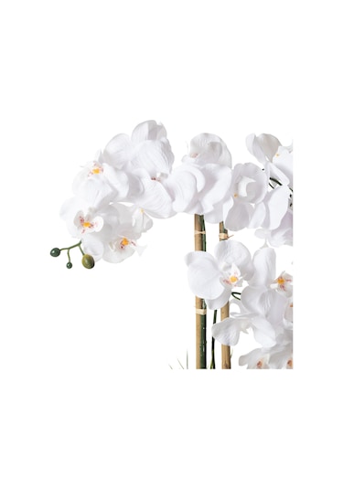 Mudo Home Rıva Saksılı Orkide 60 Cm Beyaz