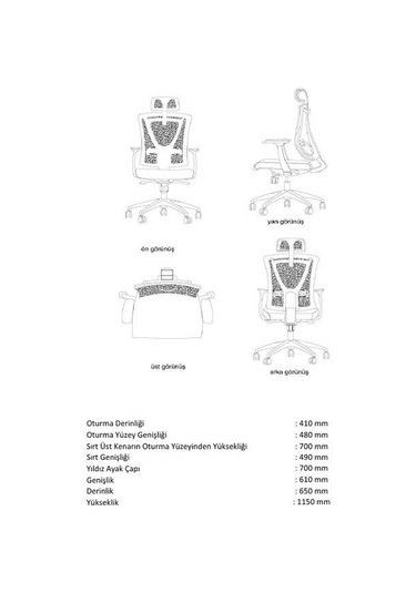 Dekofis Goldsit Ergonomik Yönetici Koltuğu