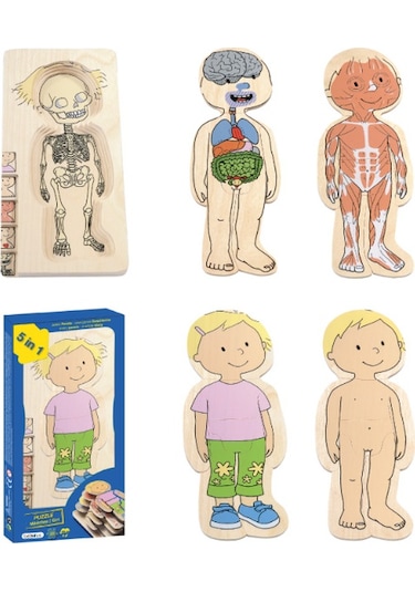 Beleduc Insan Anatomisi Puzzle Kız