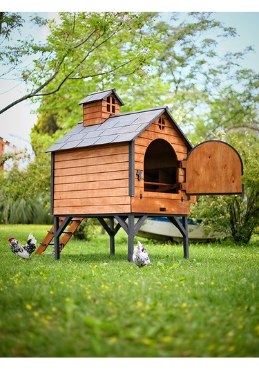 Mandu Ahşap Tavuk Kümesi (Max 16 Tavuk)