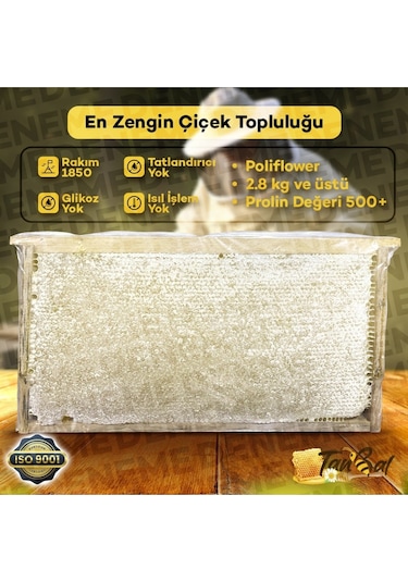 Tanbal Yayla Çiçek Balı 2800 G