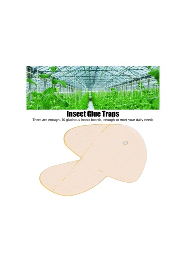 Teltree 50 Adet Mantar Sinisi Öldürücü Pvc Kovucu Tahta - Etkili Böcek Tutma, Zırhlı Yapışkanlık, Seralar İçin Kolay Kullanım