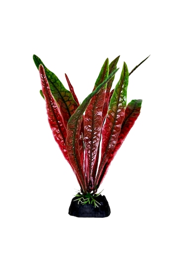 Balıkpet Plastik Yapay Akvaryum Bitkisi Dekoru Geniş Yaprak Kırmızı 18 CM