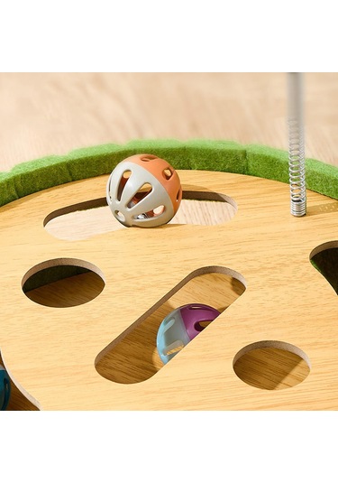 Homyl Kapalı Yavru Kedi Eğitimi Oynamak Için Cat Scratcher