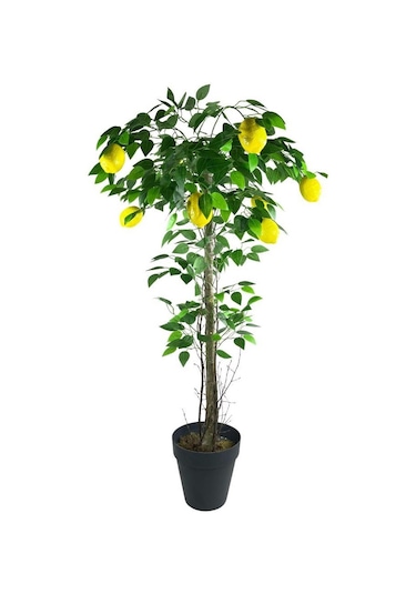 Yapay Limon Ağacı 130Cm 8 Limonlu Doğal Görünümlü Siyah Plastik S