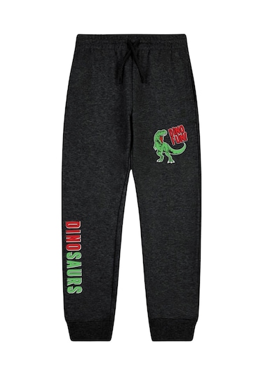 Dino Fun Baskılı Çift Cepli Erkek Çocuk Jogger Eşofman Altı Füme