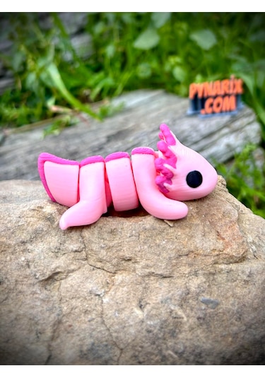 Axolotl Oyuncak 3D Hareketli Yeni Nesil Organik Model - Orta Boy