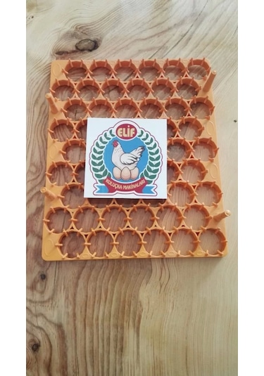 Gelişim viyolu 54 lü Tavuk