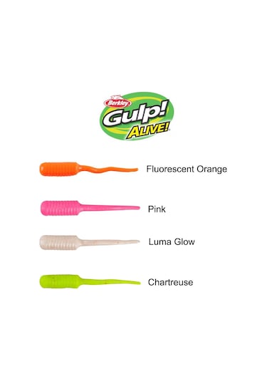Berkley Gulp Alive Fish Fry 2Cm Lrf Silikon Yemi