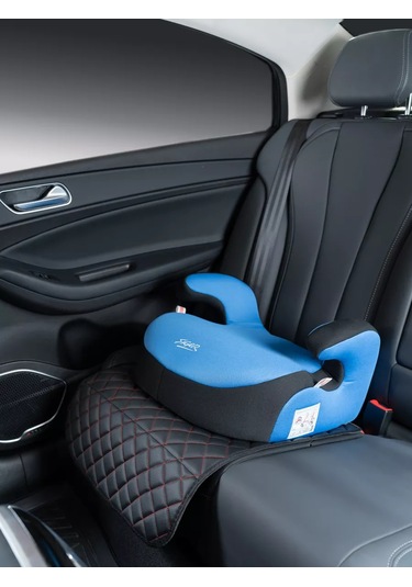 Dianamex Araba Koltuğuyla Uyumlu Koruyucu Örtü, 1 Adet. 219213653