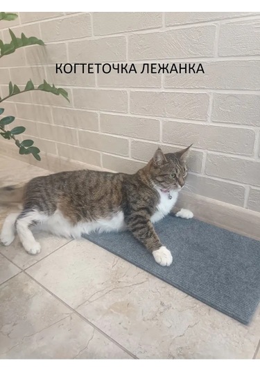 Moca İki Taraflı Köşe Duvar Tipi Kedi Tırmalama Tahtası 60x24cm 36828864