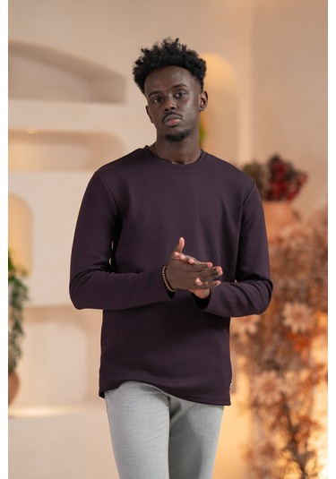 Paul Martin Modal Esnek Kumaş Regular Fit Mevsimlik Sweatshirt Mor